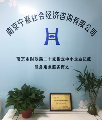 专业服务的助力者 南京宁豪社会经济咨询的商业发展价值